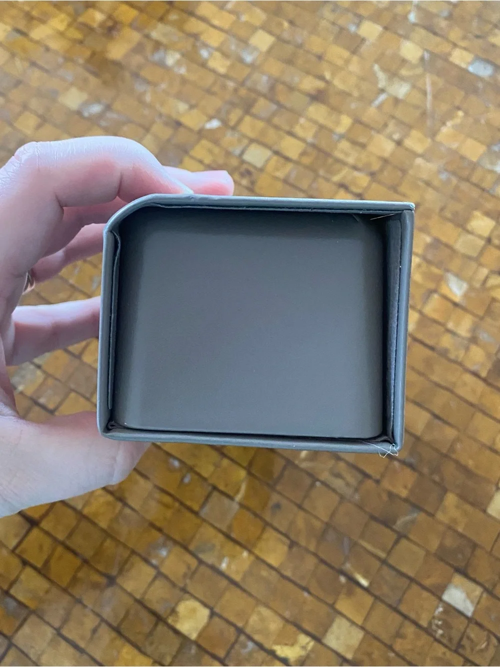 Dita gray Sunglasses case